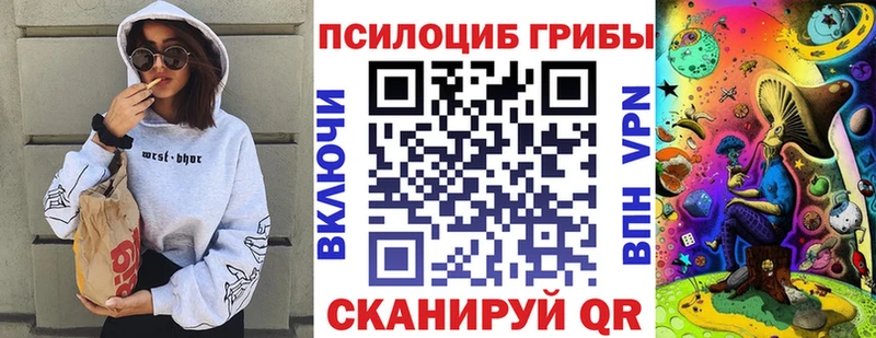 купить   Аксай  Галлюциногенные грибы Psilocybe 